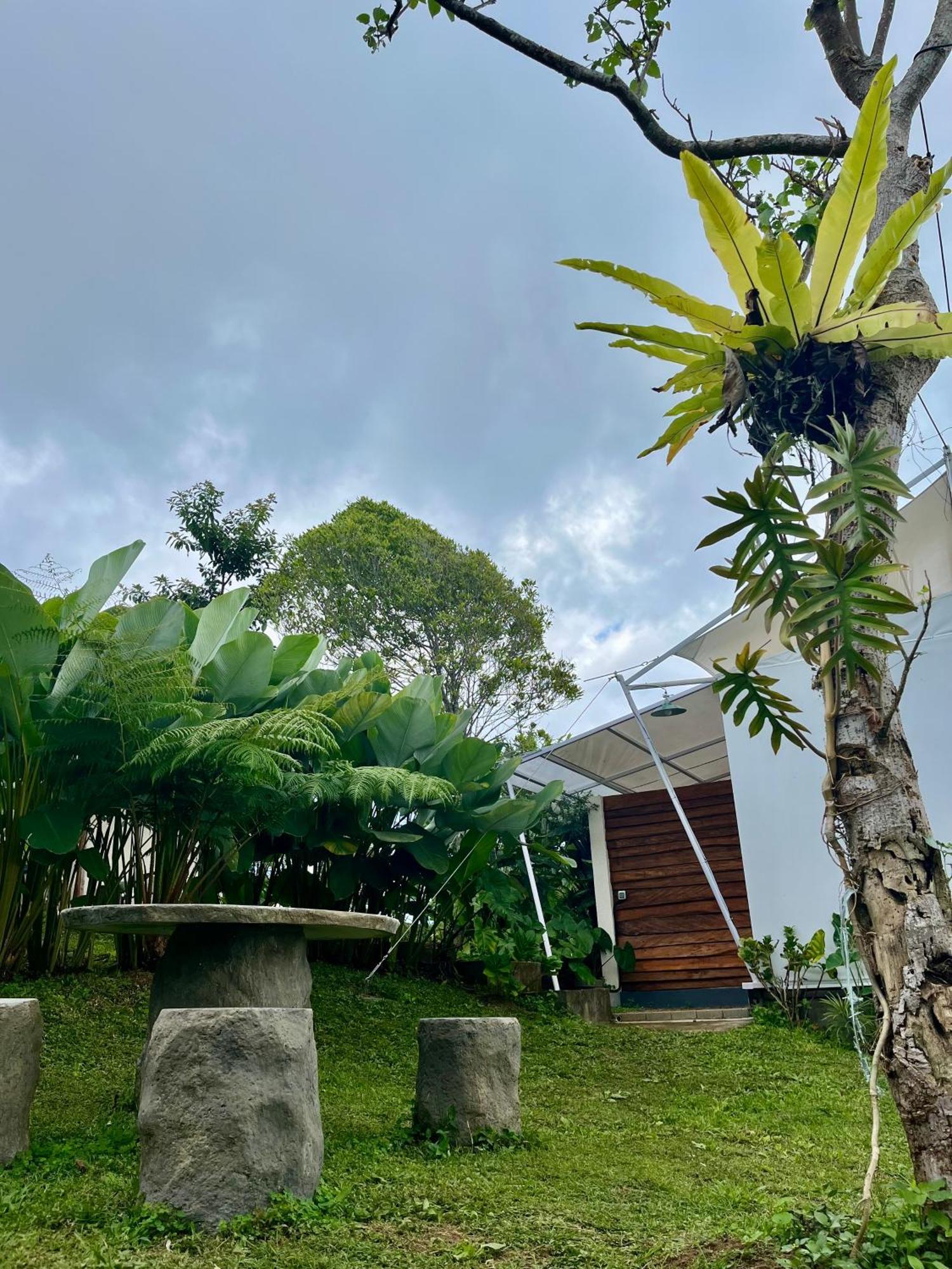 Hotel Harsa Eco Luxury Camp Gobleg  Exterior foto